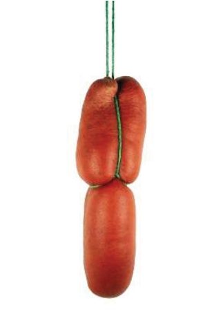 Sobrasada (Paprikastreichwurst Mallorca) Can Balaguer ca. 400g &ndash; Wurst aus Spanien bei Andupez