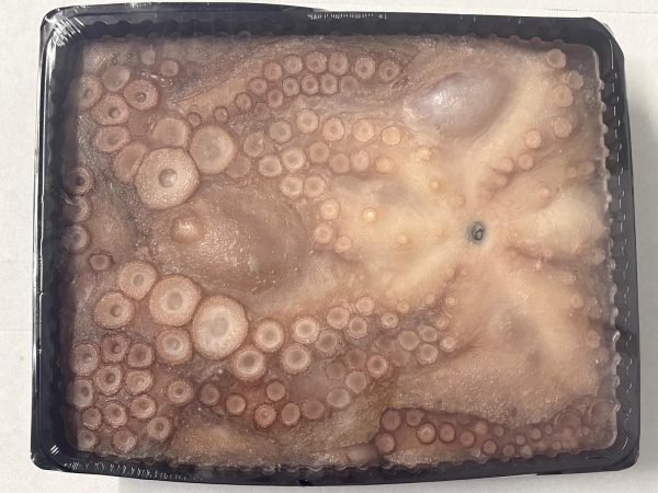 Costa Atlántico Pulpo ganz 4/6 kg, IQF &ndash; TK-Fisch & Meeresfrüchte bei Andupez