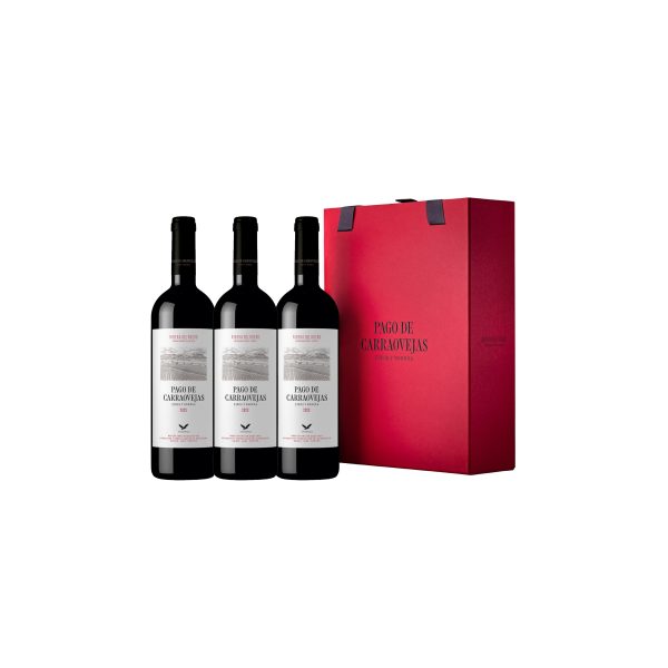 Pago de Carraovejas 2023 rot 0,75 l &ndash; Wein aus Spanien bei Andupez