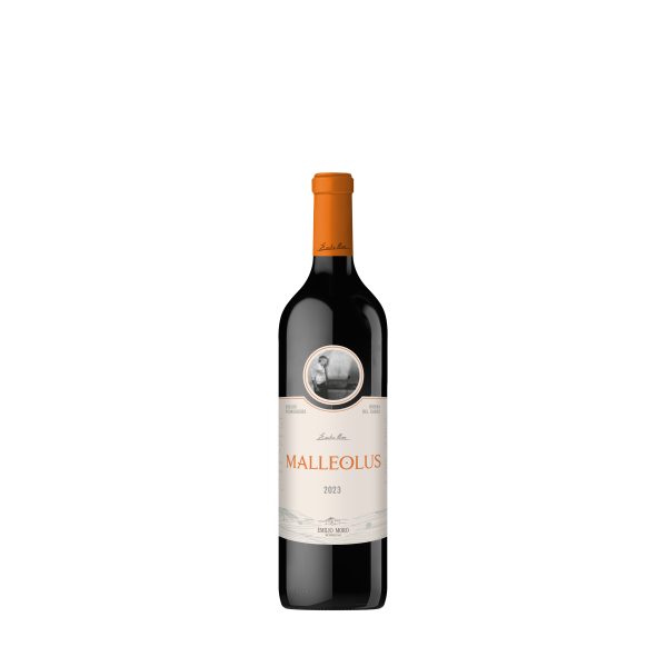 Malleolus 2022 rot 0,75 l &ndash; Wein aus Spanien bei Andupez