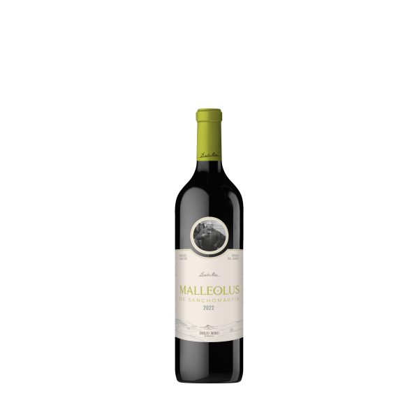 M. de Sanchomartin 2018 rot 0,75 l &ndash; Wein aus Spanien bei Andupez