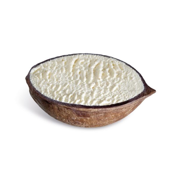 Kokosnusseis in der Frucht Alacant 120g &ndash; TK-Desserts & Eis bei Andupez