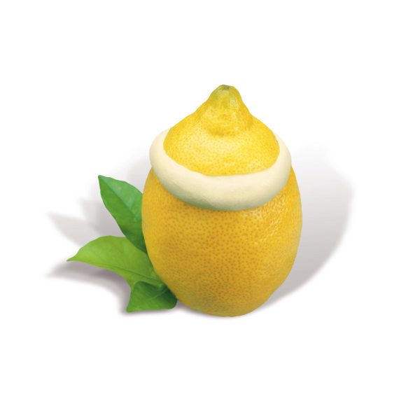 Zitroneneis in der Frucht Alacant 110g &ndash; TK-Desserts & Eis bei Andupez