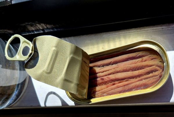 Anchovies i. Pflanzenöl Costera 29g Abt. Ds &ndash; Konserven aus Spanien bei Andupez